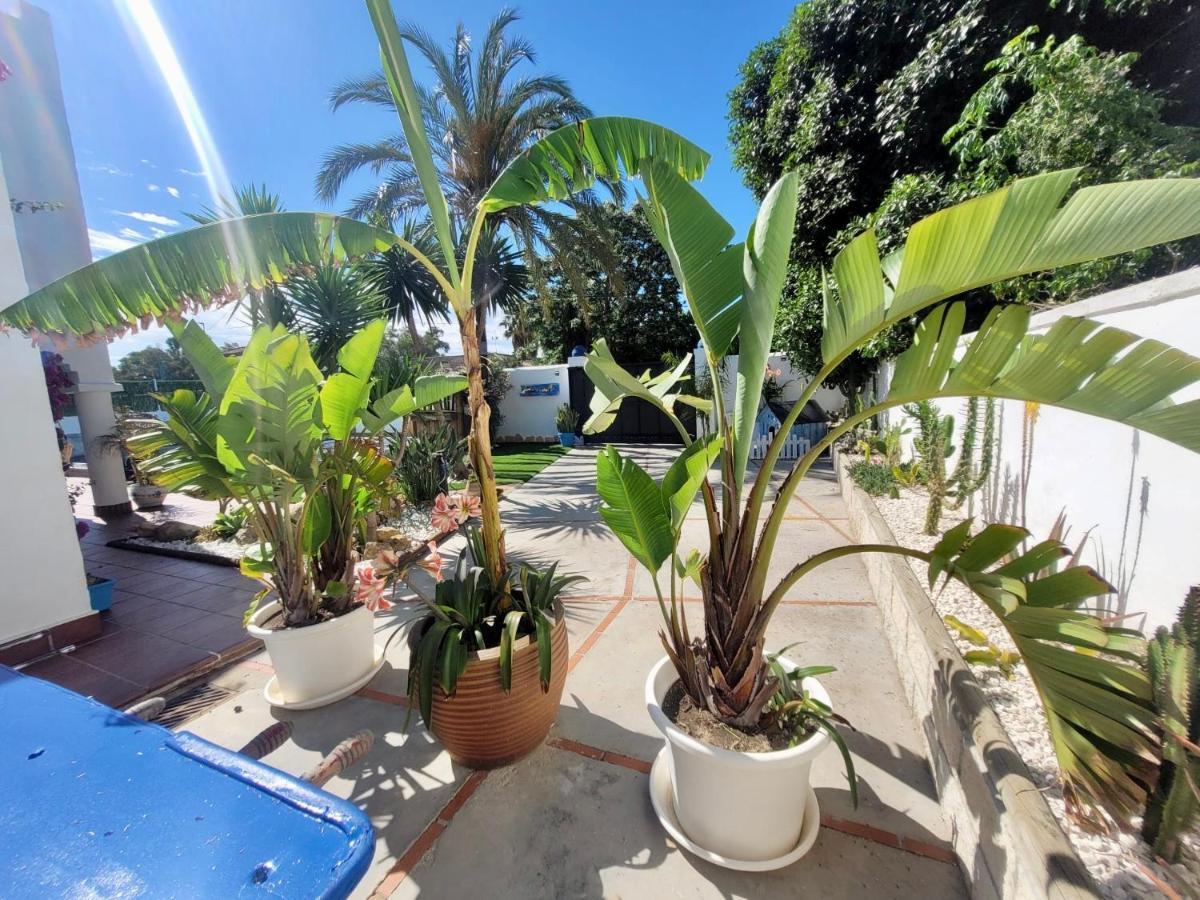 Gatu Premium Villa Lurberri Piscina Privada, 4 Dormitorios, 2 Banos, Parking , Jardines, " Preferente Mayores De 25 Anos Y Familias " In Y Barbacoa Chiclana de la Frontera Bagian luar foto